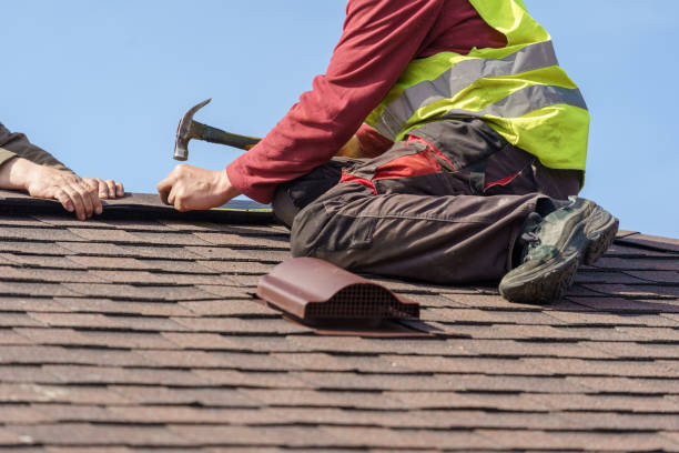 Best Local Roofing Companies  in University, MS