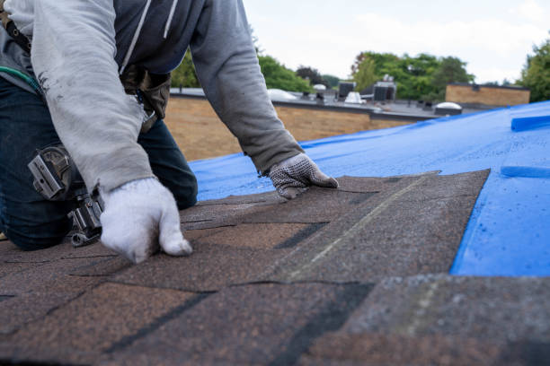 Best New Roof Installation  in University, MS